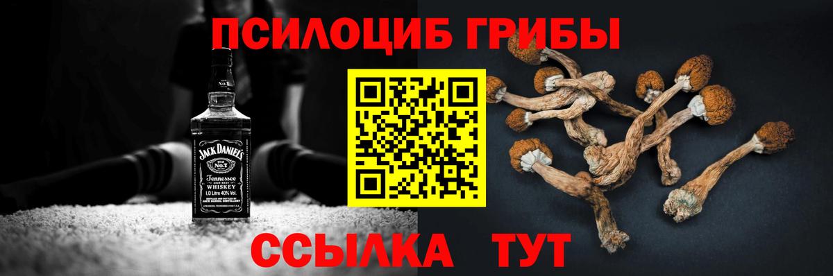 Псилоцибиновые грибы мухоморы Нарткала